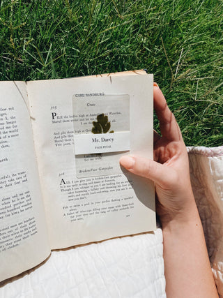 Mr. Darcy Bookmark