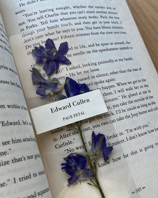 Edward Cullen Bookmark