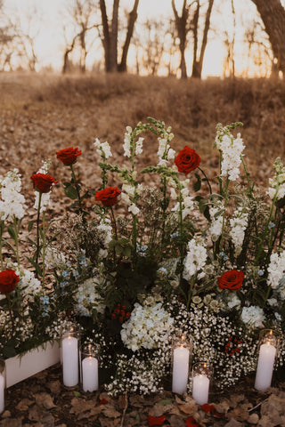 Presley & Colton | Christmas 2025 Proposal