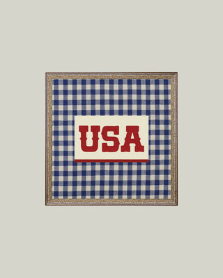 Plaid USA Framed Antique Art