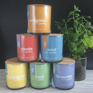 Essential Basil Culinary Garden