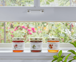 McEvoy Ranch - Orange Blossom Honey