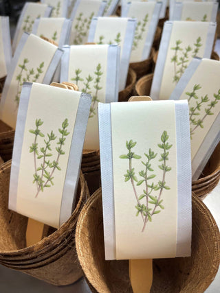 Culinary Herb Garden Box