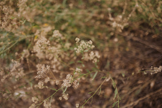 Forage Sisters-Farm Dinner at The Acres