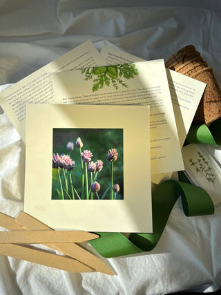 Culinary Herb Garden Box