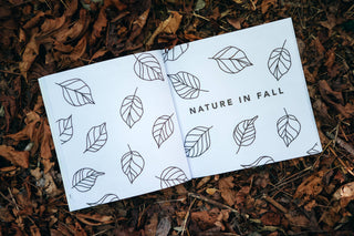 Paige Tate & Co. - Fall Things: How to Draw Books for Kids with Pumpkins, Scarecrows, Turkeys and More