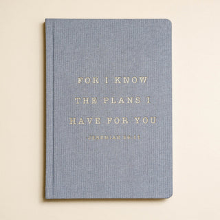 Journal: For I know the plans